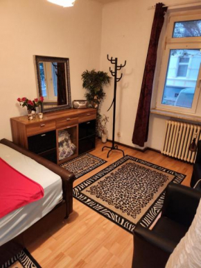HBS Haus mit 3 Wohnungen frisch renoviert, jede Whg 55 qm, mit 2 Wohn- Schlafzimmer, große Küche, Loggia, Wannenbad,WC Für Langzeitmieter und Firmen Prozente möglich